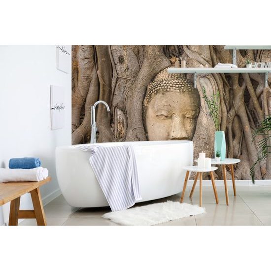 Samolepiaca fototapeta Budha v koreňoch figovníka