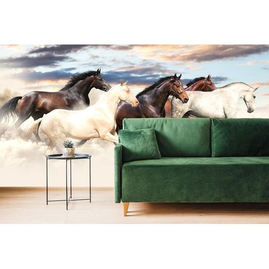 Očarujúca samolepiaca tapeta stádo cválajúcich koní