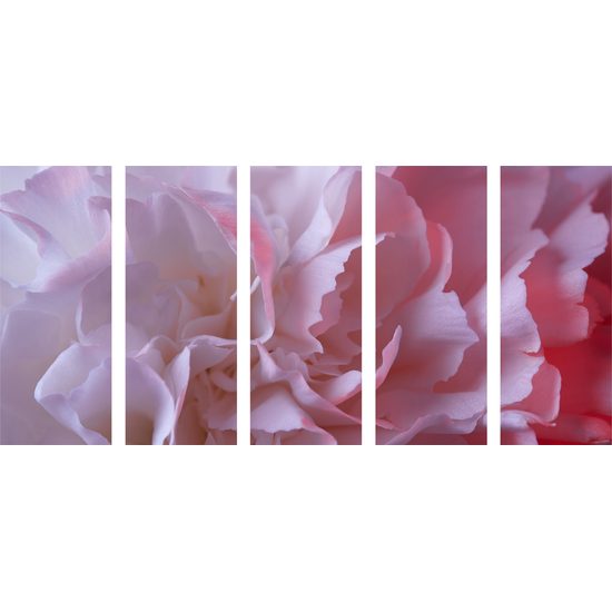 5-dielny obraz detail na lupienky karafiátu