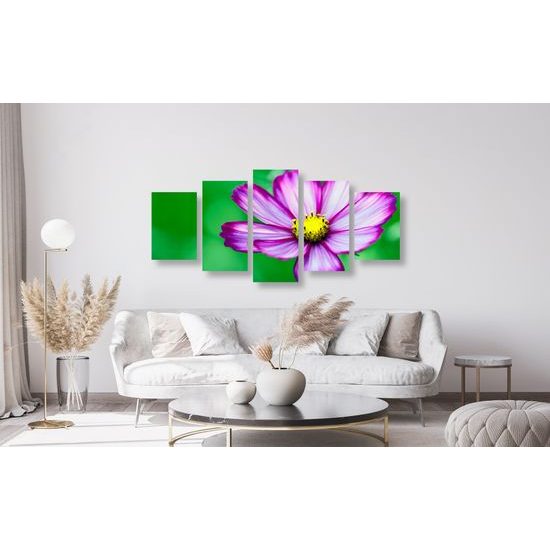 5-dielny obraz jedinečný kvet krasuľky