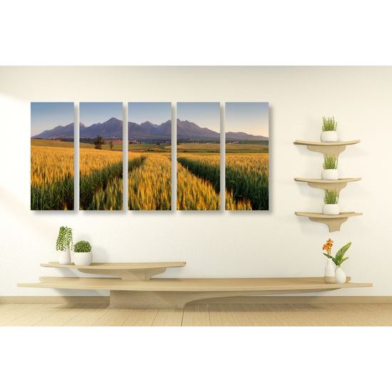 5-dielny obraz nekonečné polia