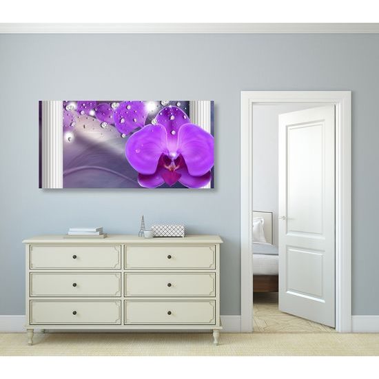 Obraz luxusná orchidea