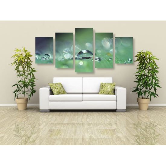 5-dielny obraz detail zameraný na kvapku rosy