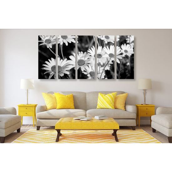 5-dielny obraz krása rozkvitnutých sedmokrások v čiernobielom prevedení