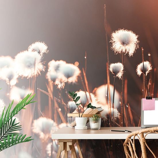 Samolepiaca fototapeta bavlnená tráva v prebúdzajúcej sa prírode