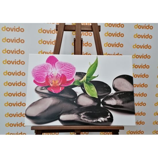 Obraz ploské wellness kamene