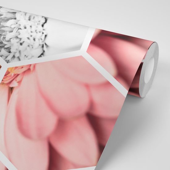 Tapeta moderné zobrazenie gerbery