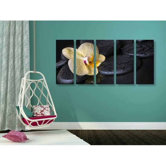 5-dielny obraz lávové kamene a zaujímavá orchidea
