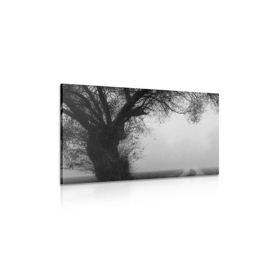 Obraz pole zahalené v rannej hmle v čiernobielom prevedení