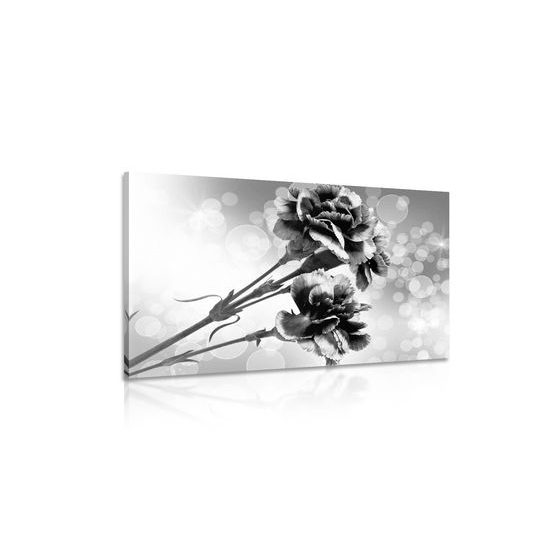 Obraz nádherny čiernobiely kvet