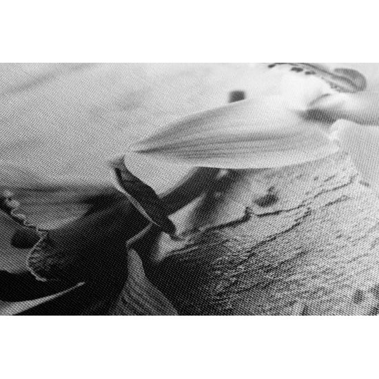 Obraz nádherné čiernobiele kvety orchidey