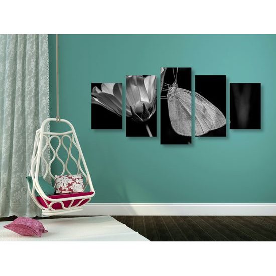 5-dielny obraz nočný motýľ v čiernobielom prevedení