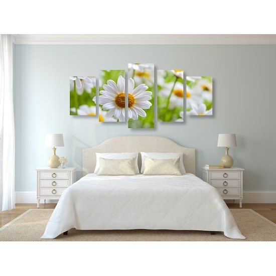 5-dielny obraz prekrásne sedmokrásky