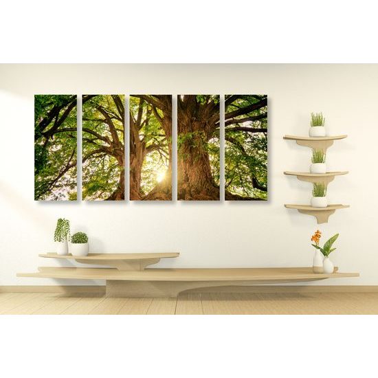 5-dielny obraz staré stromy