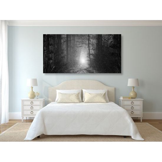 Obraz svetlo na konci cesty v čiernobielom prevedení