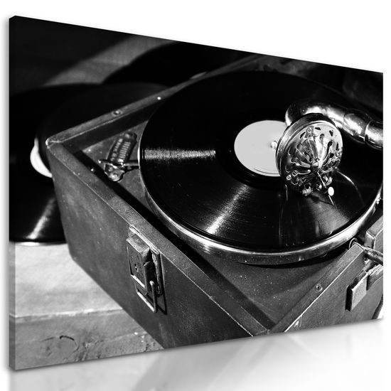 Obraz krása vinylovej platne v čiernobielom prevedení