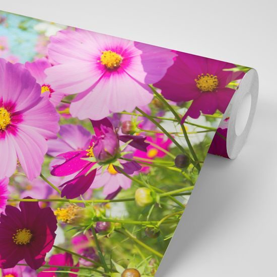 Samolepiaca fototapeta ružové lúčne kvety