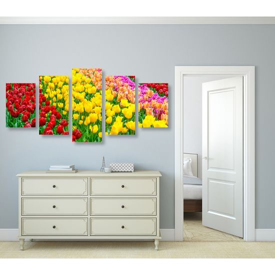 5-dielny obraz tulipánový sad