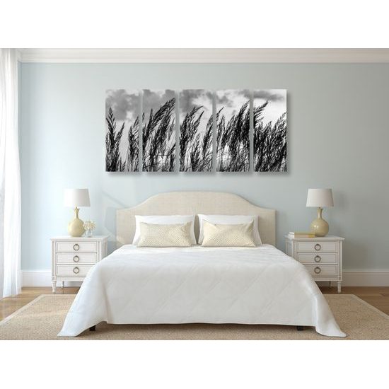 5-dielny obraz poľná tráva s nebeským pozadím v čiernobielom prevedení