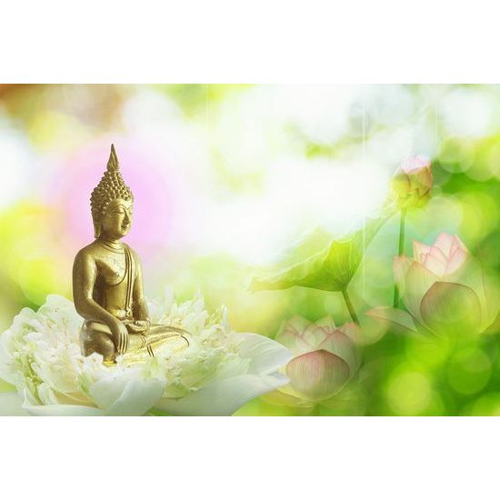 Samolepiaca fototapeta symbol budhizmu