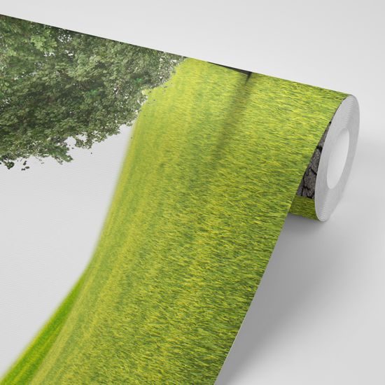 Samolepiaca tapeta podoby stromu v tvare srdca