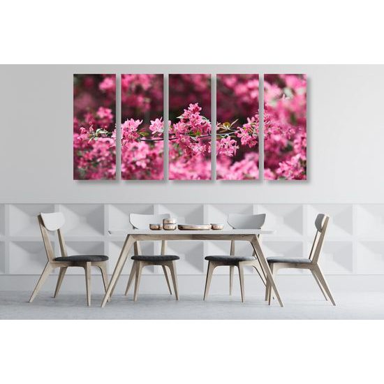 5-dielny obraz ružové kvety v rozkvete