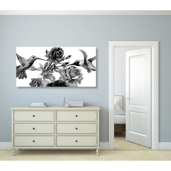 Obraz maľované kolibríky v čiernobielom prevedení