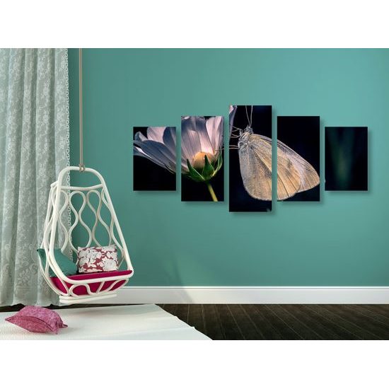 5-dielny obraz nočný motýľ