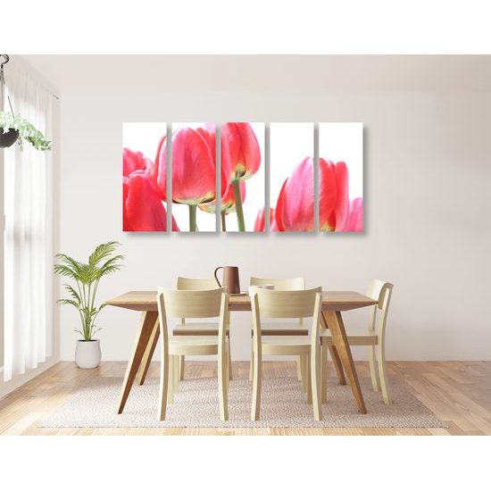 5-dielny obraz elegantné tulipány
