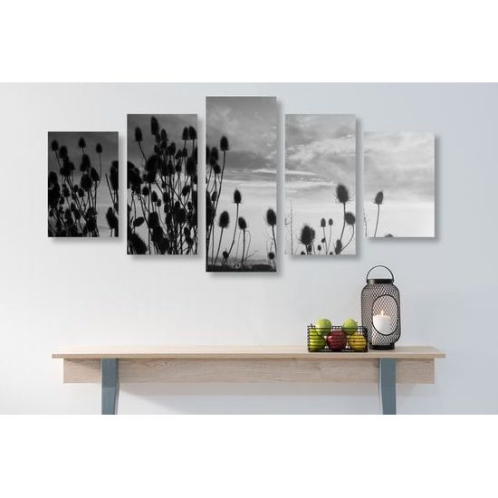 5-dielny obraz západ slnka za steblami trávy v čiernobielom prevedení