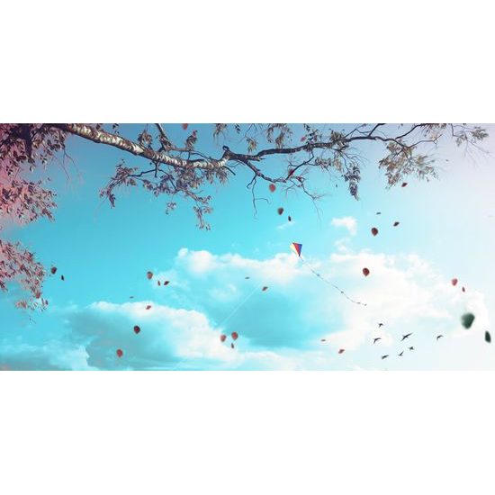 Obraz šarkan a babie leto