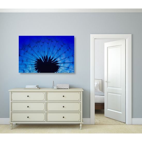 Obraz abstraktná nočná púpava