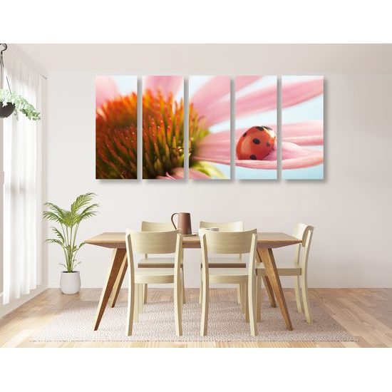 5-dielny obraz lienka na lupienku kvetu