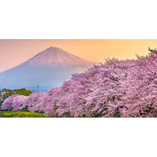 Obraz romantický pohľad na Japonsko