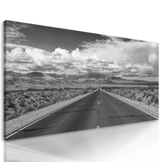 Obraz cesta pušťou v čiernobielom prevedení