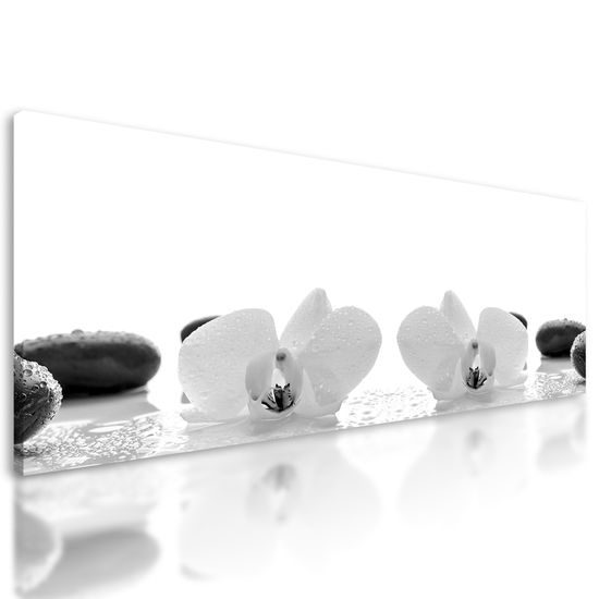 Obraz kvety orchidey a zen kamene v čiernobielom prevedení