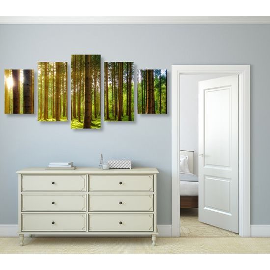 5-dielny obraz lúče slnka medzi stromami