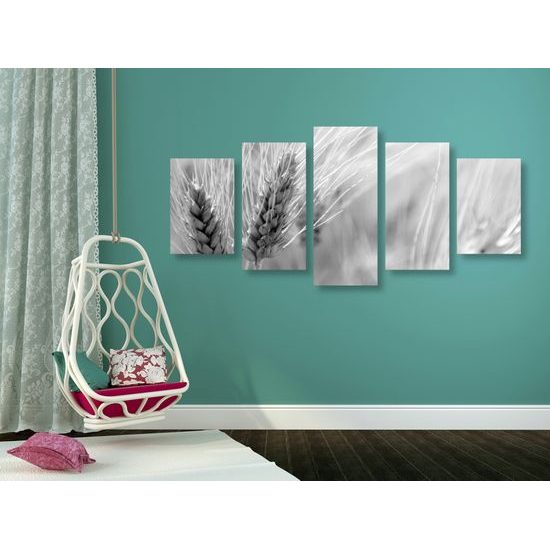 5-dielny obraz detail pšenice v čiernobielom prevedení