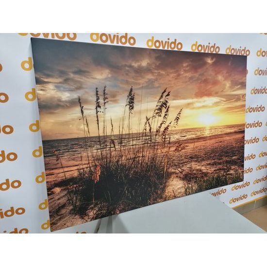 Obraz západ slnka z pláže