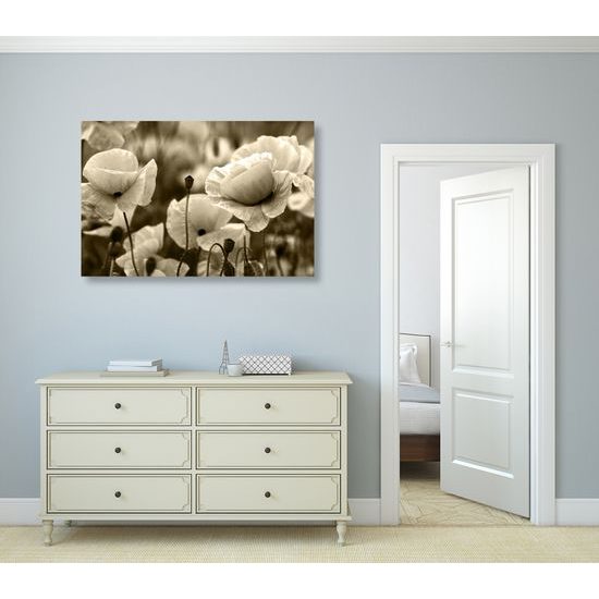 Obraz jedinečné divé maky v sépiovom prevedení