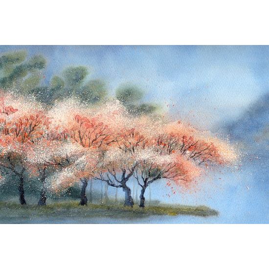 Samolepiaca tapeta nádherné kvitnúce stromy