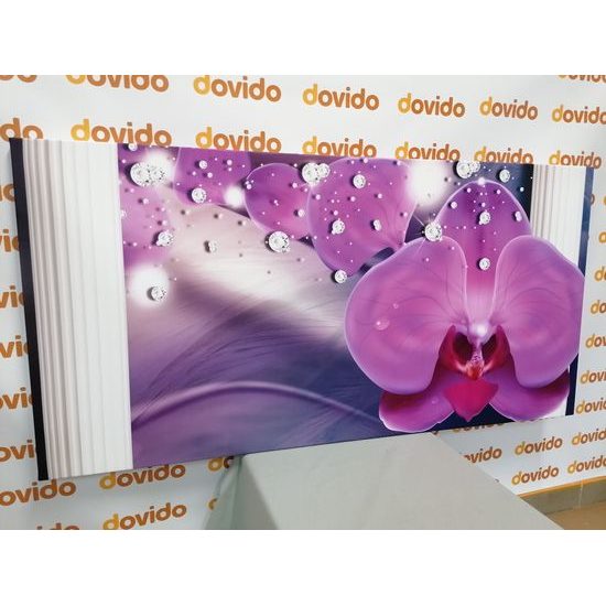 Obraz luxusná orchidea