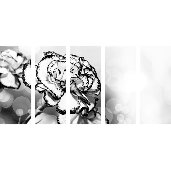 5-dielny obraz nádherný karafiát v čiernobielom prevedení