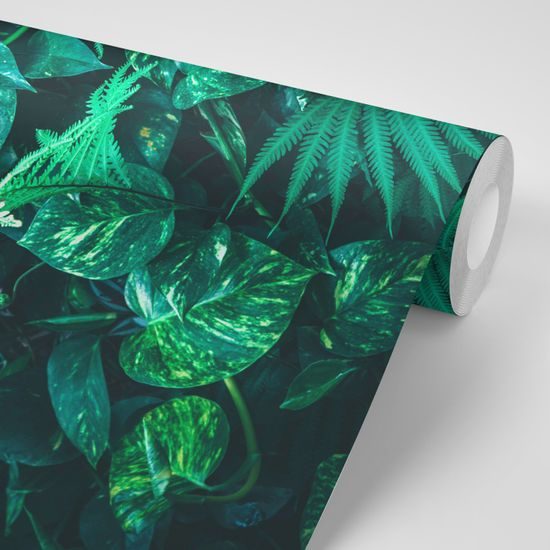 Samolepiaca fototapeta zákutie s listami