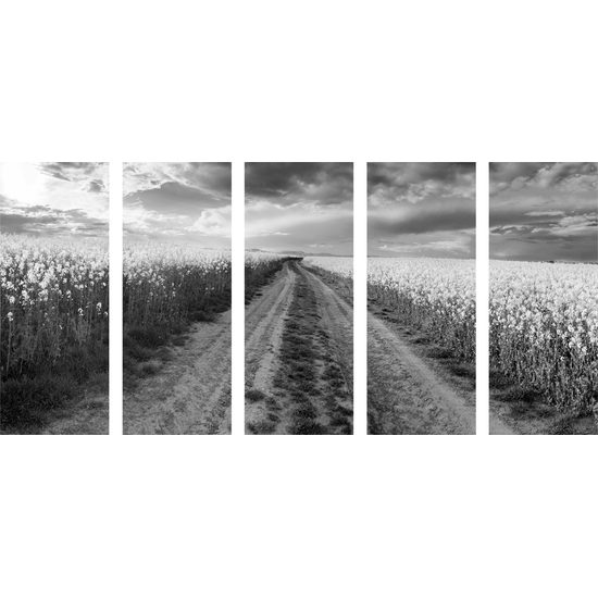 5-dielny obraz cesta v strede poľa v čiernobielom prevedení