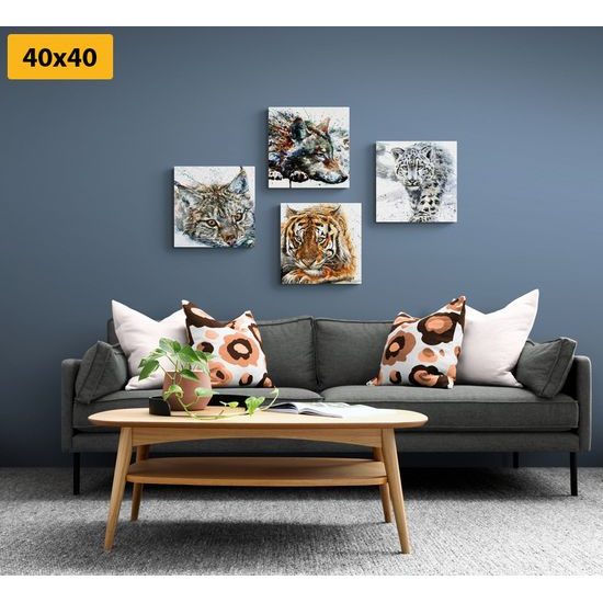 Set obrazov nádherné majestátne zvieratá