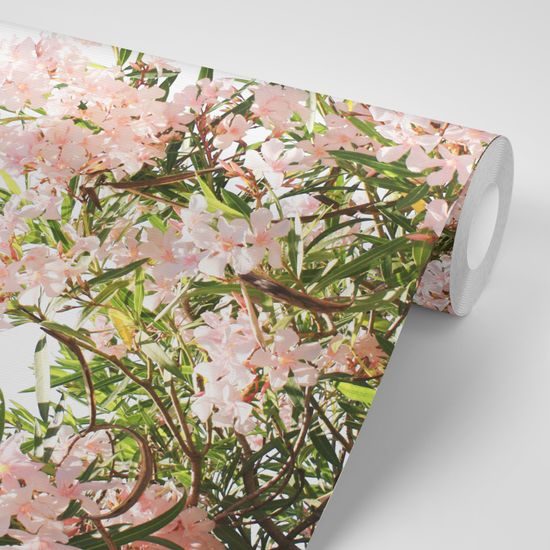 Samolepiaca fototapeta Eiffelova veža s romantickými kvetmi