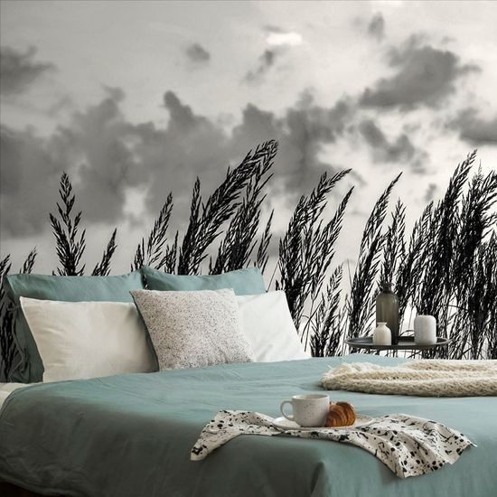 Zaujímavá čiernobiela samolepiaca fototapeta steblá trávy