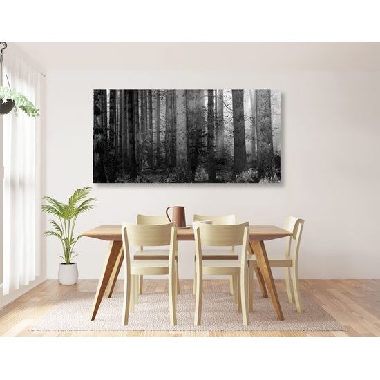 Obraz magický les v čiernobielom prevedení