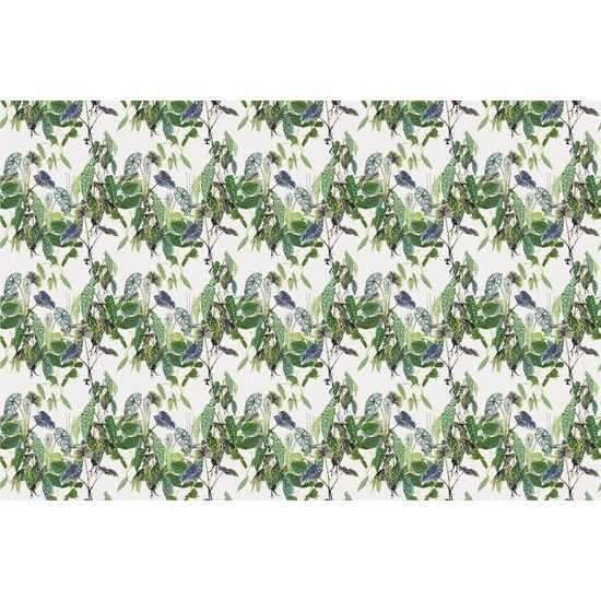 Tapeta pôvabné tropické listy